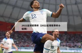 2022足球世界杯（2022足球世界杯小组赛）