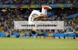 2006年世界杯（2006年世界杯四强）